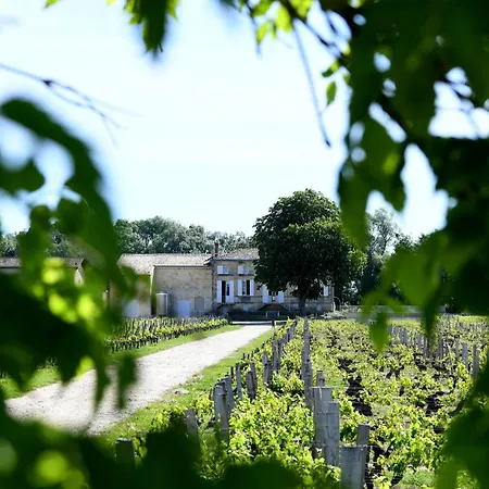 Propriete Viticole Avec Piscine Pres De St-emilion וילה ליבורן
