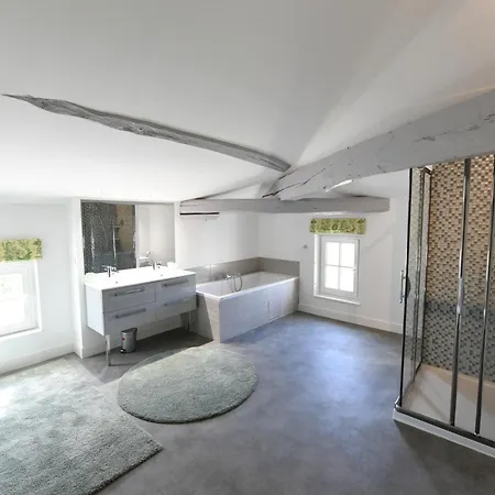 Propriete Viticole Avec Piscine Pres De St-emilion *